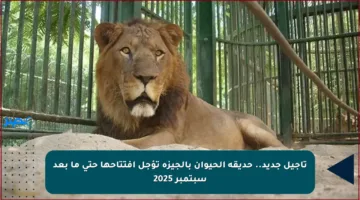 تأجيل جديد.. حديقة الحيوان بالجيزة تؤجل افتتاحها حتى ما بعد سبتمبر 2025